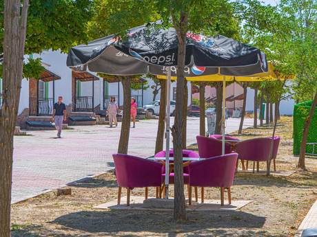 Aydın Palace Termal tesis dış görünümü ve bahçesi